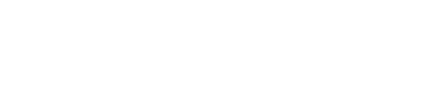 NZ Government Logo